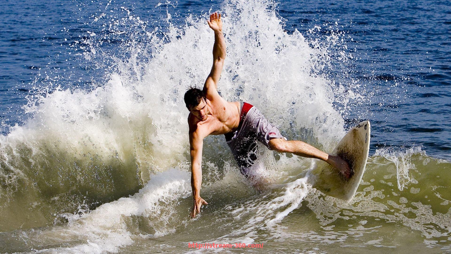 360直播-健身器材上半身肌群锻炼方法及动作介绍