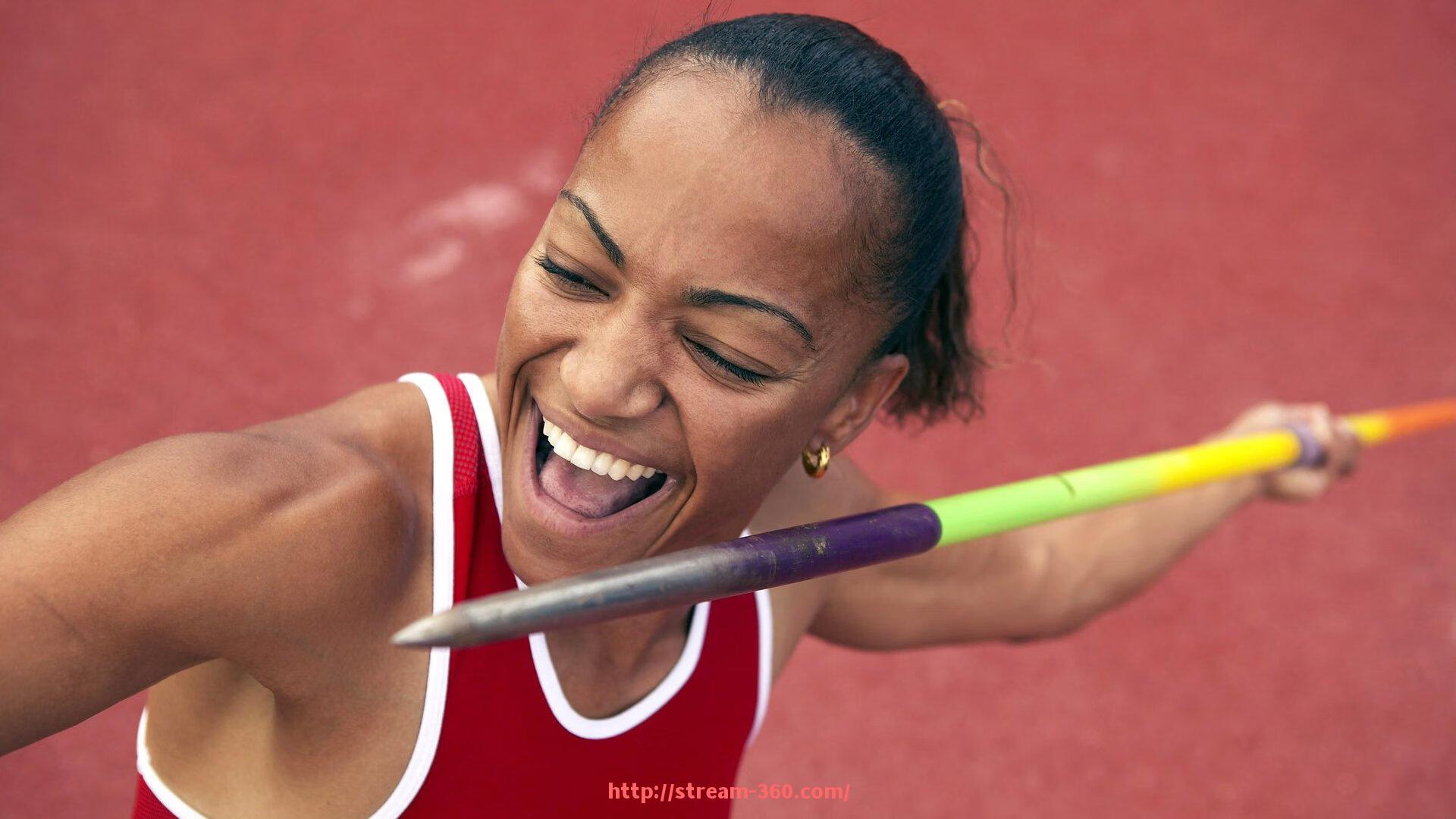 360直播-拉背肌群的健身器材介绍与操作技巧